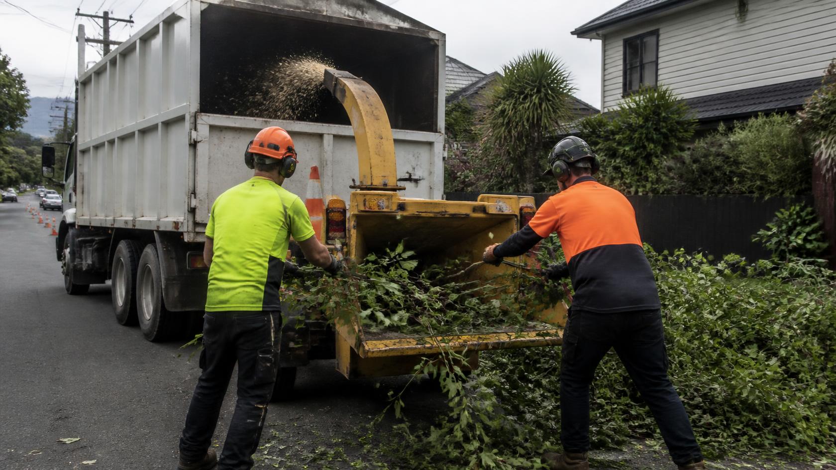 Crew feeding branches into a chipper beside a truck on an Auckland street