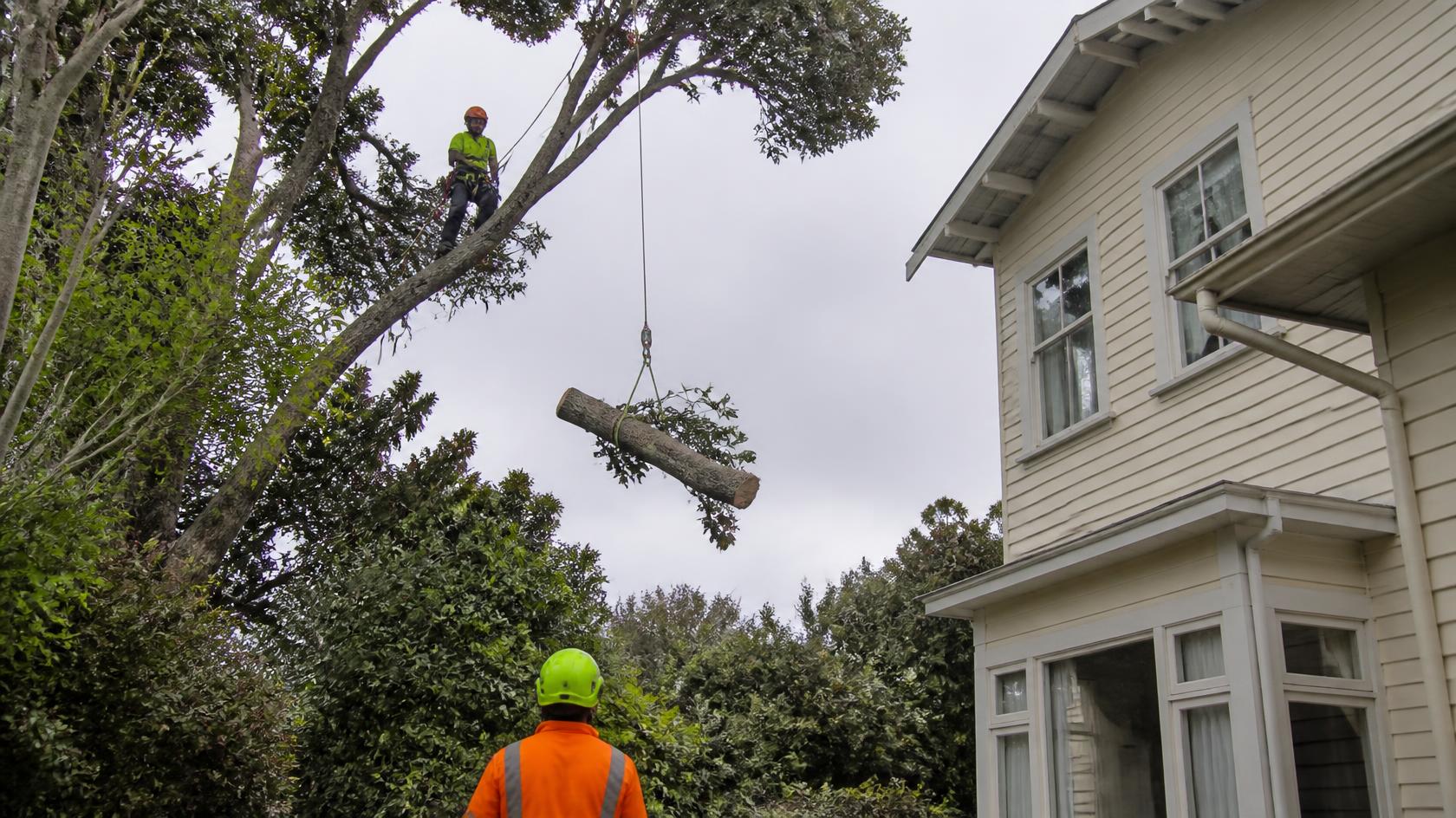 Rigged log section being lowered beside a two-storey villa